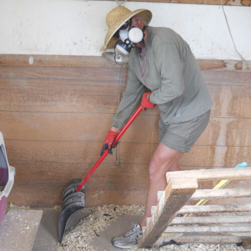 Best Tool for Cleaning a Chicken Coop